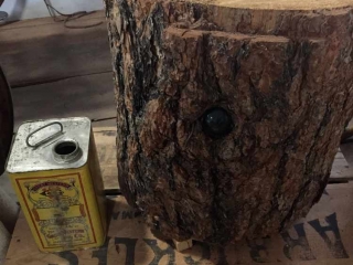 test-of-time-homegrown-telephone