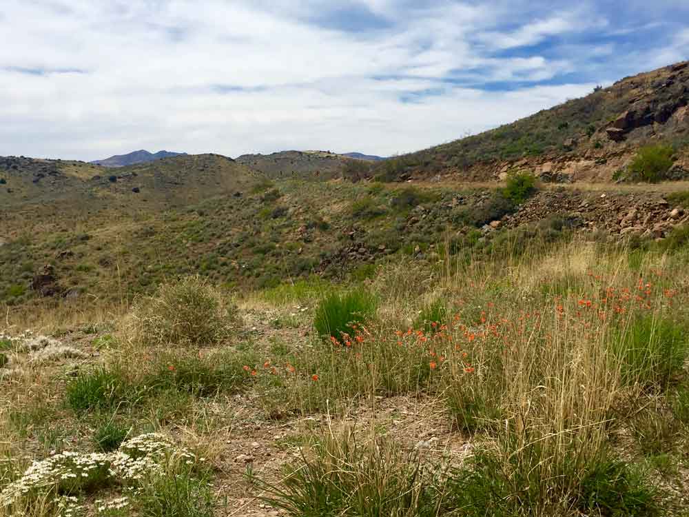 Scenic Lake Valley in Sierra County New Mexico